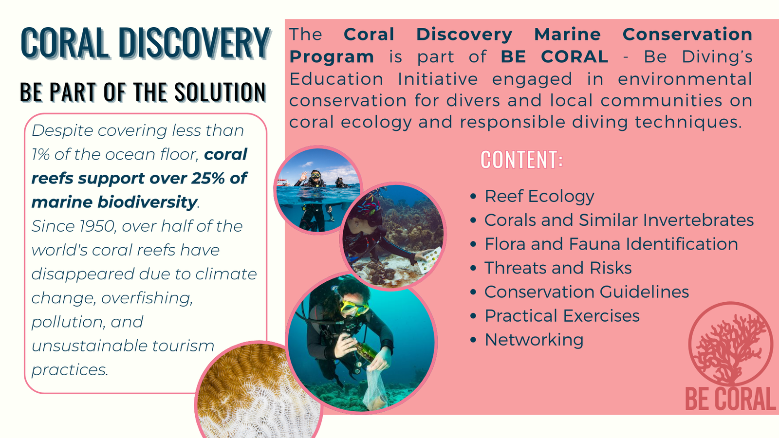 Be Part of the Solution - Coral Discovery Marine Conservation Program (slide 6)